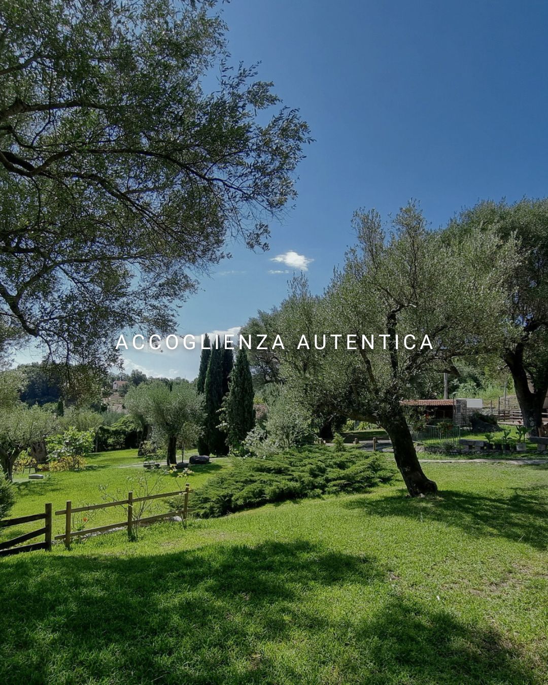 Agriturismo Pie d'Ulivo a Bosco immerso nel verde del Cilento
